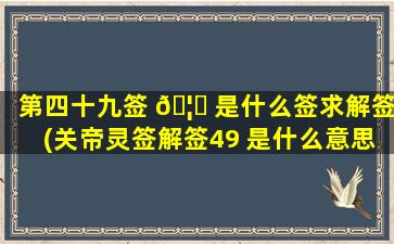 第四十九签 🦄 是什么签求解签(关帝灵签解签49 是什么意思)